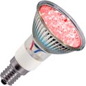 Лампа цветная светодиодная 0,9W 18L R50 E14